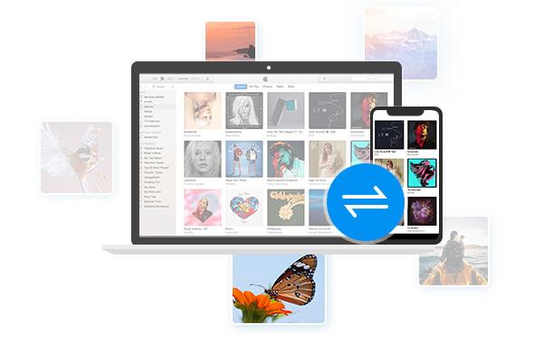 Aiseesoft FoneTrans(iOS数据传输软件)v9.3.50官方版